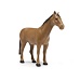 paarden