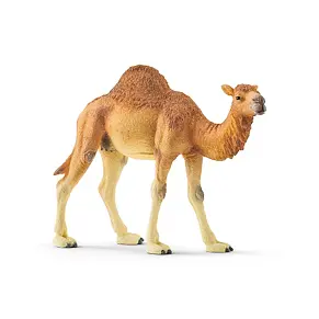 Dromedaris - Schleich 14832
