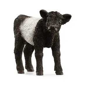 Galloway kalf - Schleich 13969