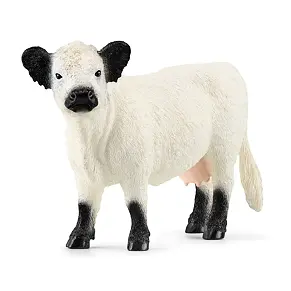 Galloway koe - Schleich 13960