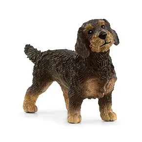 Ruwharige teckel - Schleich 13972