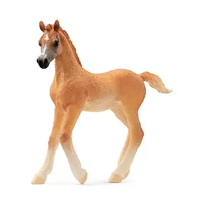 Arabisch veulen - Schleich 13984