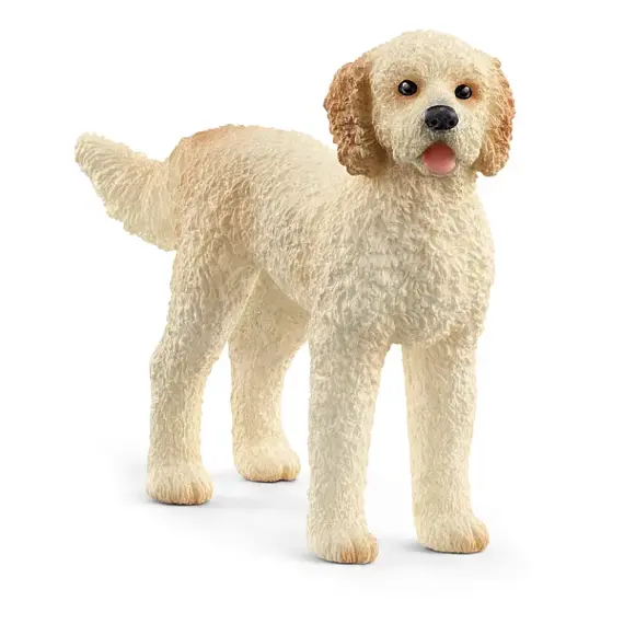 Hond Goldendoodle - Schleich 13939