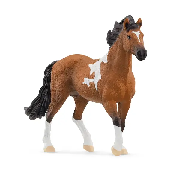 Mangalarga Marchador Hengst - Schleich 13978