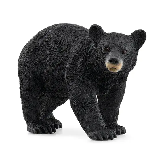 Zwarte Beer - Schleich 14869