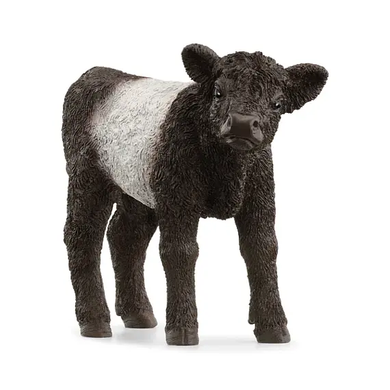 Galloway kalf - Schleich 13969