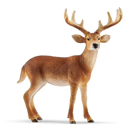 Witstaarthert - Schleich 14818