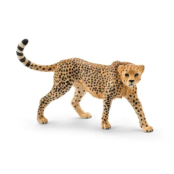 Vrouwelijke Cheetah - Schleich 14746