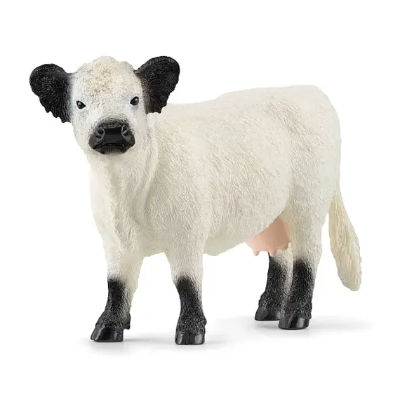 Galloway koe - Schleich 13960