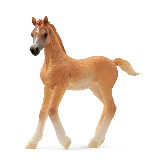 Arabisch veulen - Schleich 13984