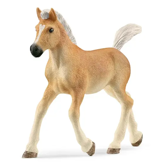 Haflinger veulen - Schleich 13951