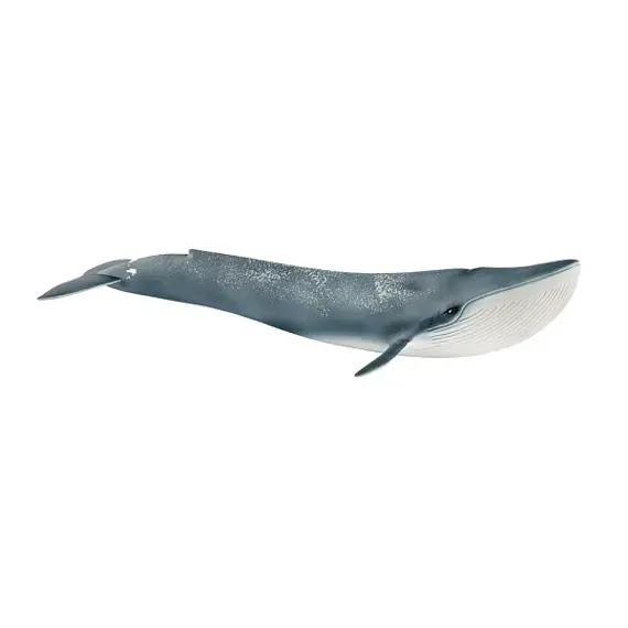 Blauwe vinvis - Schleich 14806
